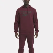 REEBOK RI FLC BIG LOGO HOOD Men Sweatshirt Training
