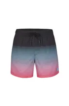 O'NEILL CALI GRADIENT 15'' Men Swim Short