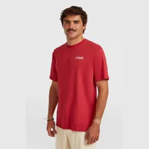 O'NEILL POLYGIENE COTTON GRAPHIC T-SHIRT Men Tshirt