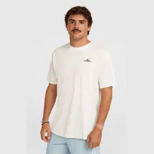 O'NEILL SMALL LOGO T-SHIRT Men Tshirt