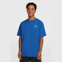O'NEILL SMALL LOGO T-SHIRT Men Tshirt