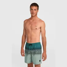 O'NEILL LOGO STRIPE 16'' SWIMSHORTS Men Short