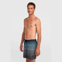 O'NEILL LOGO STRIPE 16'' SWIMSHORTS Men Short