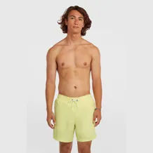 O'NEILL VERT 16'' SWIMSHORTS Men Short