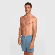 O'NEILL VERT 16'' SWIMSHORTS Men Short
