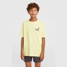 O'NEILL LOGO STRIPE SWIMSHORTS Kids Swim Short