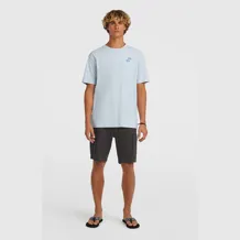 O'NEILL ESSENTIALS CARGO Ανδρικό Σόρτς Βόλτας