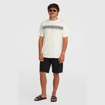 O'NEILL ESSENTIALS CARGO Ανδρικό Σόρτς Βόλτας