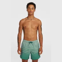 O'NEILL FIRST 15'' SWIMSHORTS Men Short
