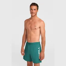 O'NEILL LOGO 16'' SWIMSHORTS Men Short
