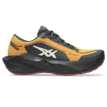ASICS NOVABLAST 6 GTX Men Shoes Running